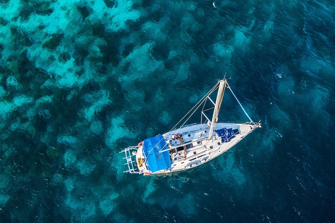100% Private Charter Snorkel, Sail, Relax (Cruisers Friendly) - 1000 Steps and the chance to spot turtles