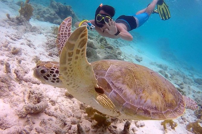 100% Private Charter Snorkel, Sail, Relax (Cruisers Friendly) - Salt Pier and Bonaire’s southern coast