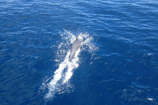 2-Day Halkidiki Sailing Cruise - What the crew adds to the experience
