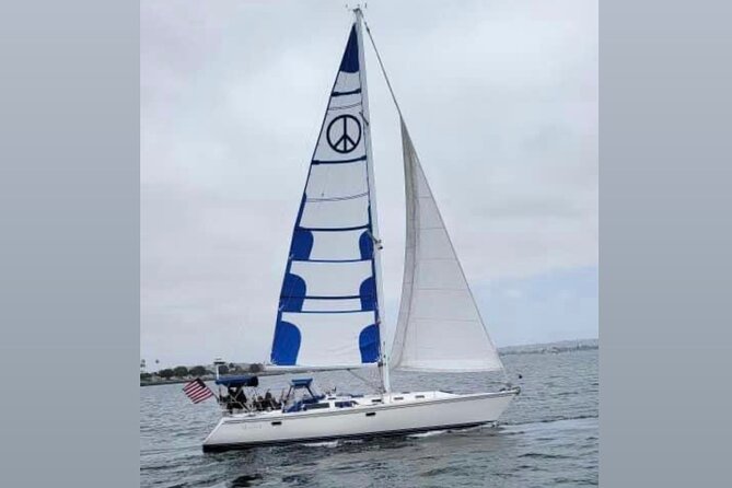 2-Hour Private Sailing Experience in San Diego Bay - Sea lions, seabirds, and the bay’s wildlife
