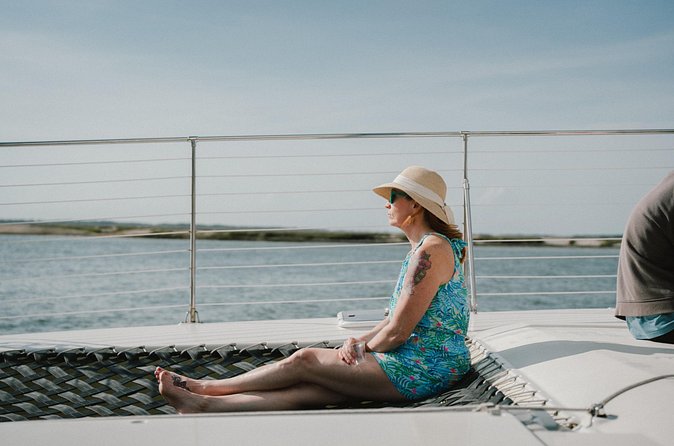 2-Hour Rosé Luxury Day Sail - Wildlife Watching Without the Pressure of a Safari