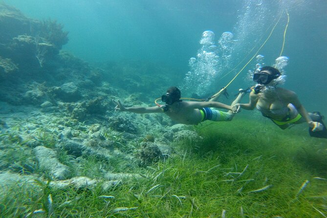 3 ADVENTURES: Sailing Catamaran Cruise - Hooka Diving - Snorkeling - What the marine life and water conditions may mean for you