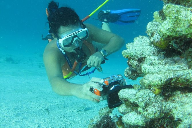 3 ADVENTURES: Sailing Catamaran Cruise - Hooka Diving - Snorkeling - The crew can make or break the experience