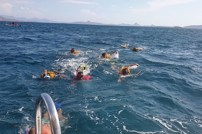 3-Days Sailing Komodo Island,Padar & Manta Point departure every Friday - Manta Point and Taka Makassar