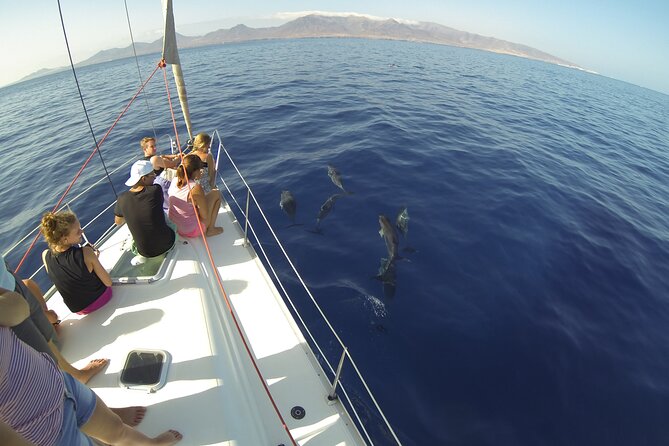5,5 hours Private Sailing Trips from Heraklion to Island of Dia - Who will enjoy this Dia Island sailing trip?