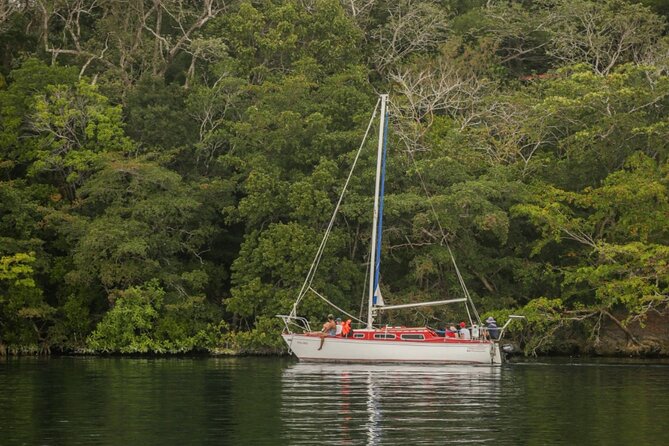 6hrs of Sailing in Bacalar Lagoon: discover Cenotes, Islands and Stromatolites. - Physical demands and comfort on the water