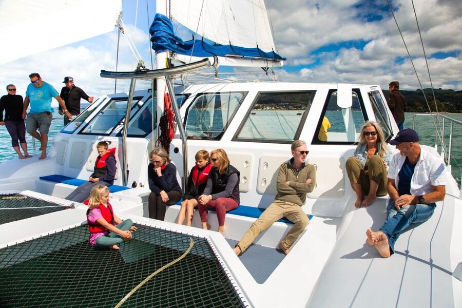 Abel Tasman National Park: Day Sailing Adventure with Lunch - Watching fur seals near the coast