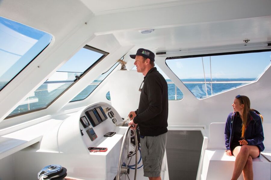 Abel Tasman National Park: Day Sailing Adventure with Lunch - One hour at Anchorage Beach