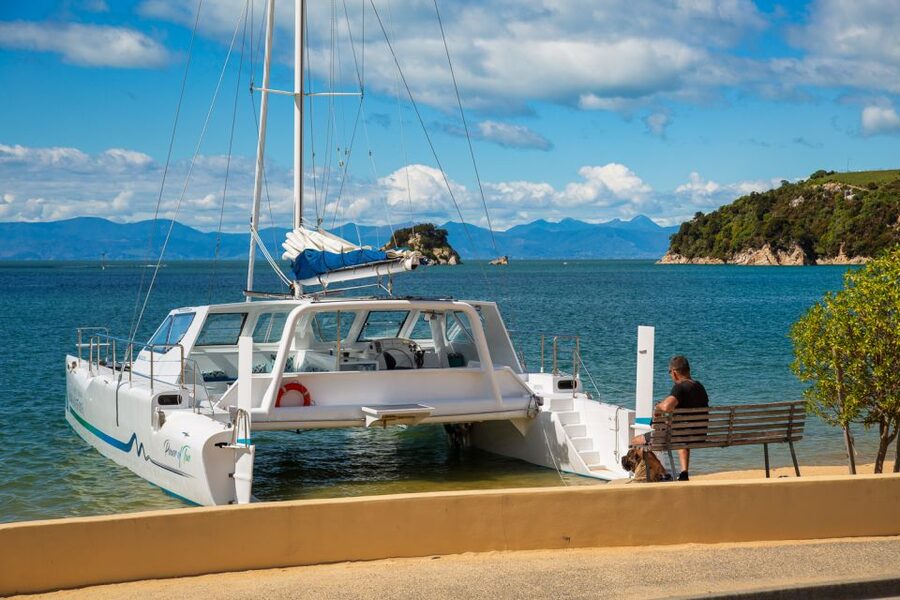 Abel Tasman National Park: Day Sailing Adventure with Lunch - What the sailing is really like