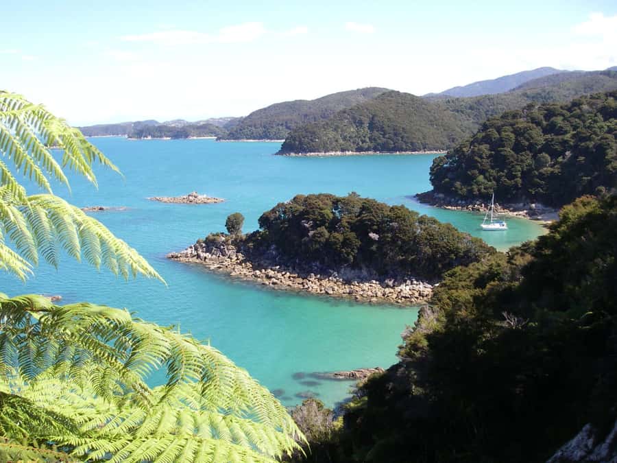 Abel Tasman National Park: Sailing and Self-Guided Walk - Why the sail-and-walk combination works