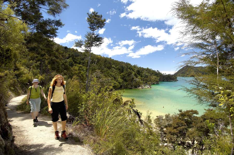 Abel Tasman National Park: Sailing and Self-Guided Walk - Split Apple Rock and New Zealand fur seals