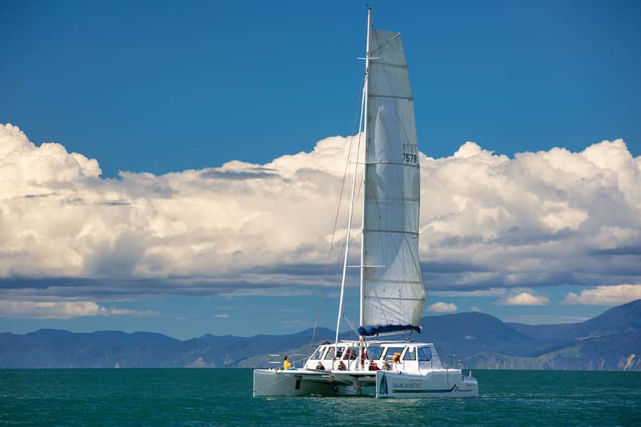 Abel Tasman National Park: Self-Guided Walk & Sailing - Who will enjoy this day most?