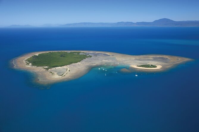 Afternoon Low Isles Snorkelling & Sunset Sail from Port Douglas - Food, drinks, and the sunset sail home
