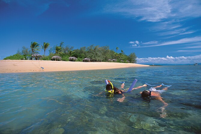 Afternoon Low Isles Snorkelling & Sunset Sail from Port Douglas - What to pack for the Low Isles afternoon