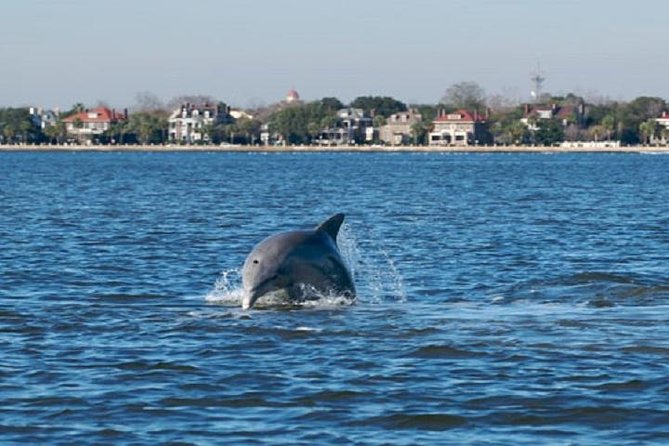 Afternoon Schooner Sightseeing Dolphin Cruise on Charleston Harbor - Fort Sumter and the harbor’s Civil War setting