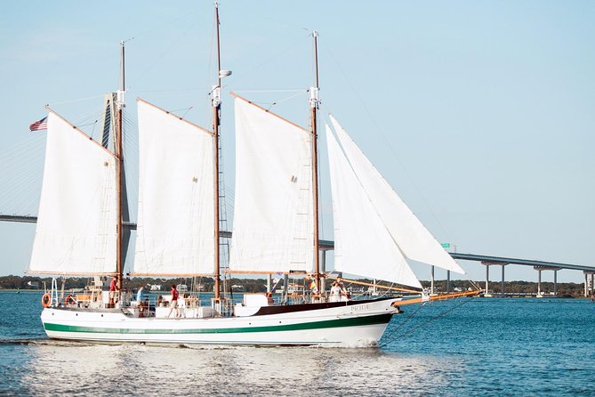 Afternoon Schooner Sightseeing Dolphin Cruise on Charleston Harbor - Under the Ravenel Bridge
