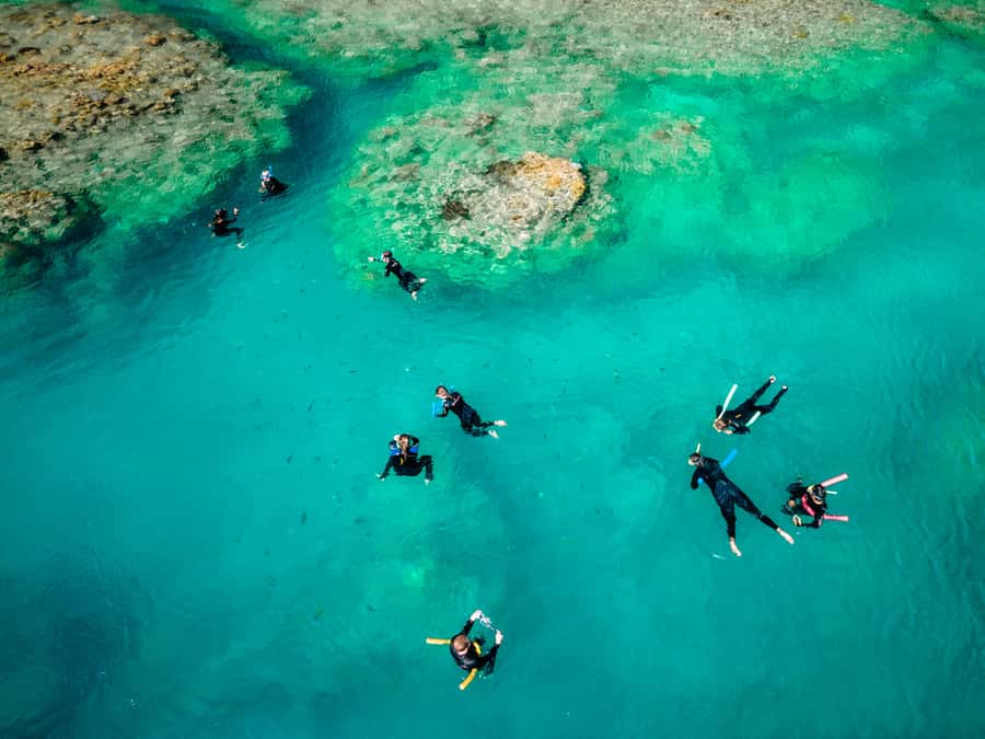 Airlie Beach: 2-Day Whitsunday Islands Sailing Snorkel Tour - What $488 Buys You Over 60 Hours