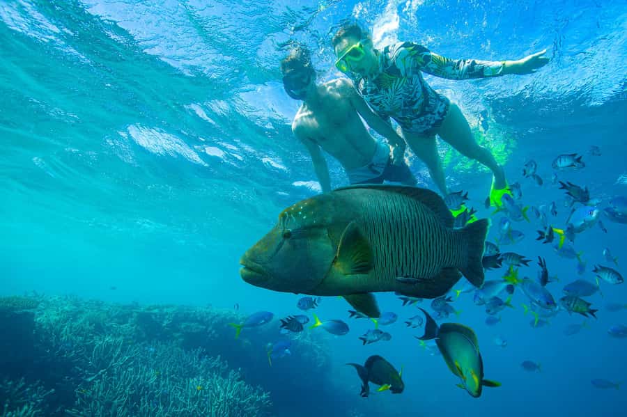 Airlie Beach: Adults-Only Whitehaven Beach Sailing Tour - Whitehaven Beach is beautiful, but beach time is limited