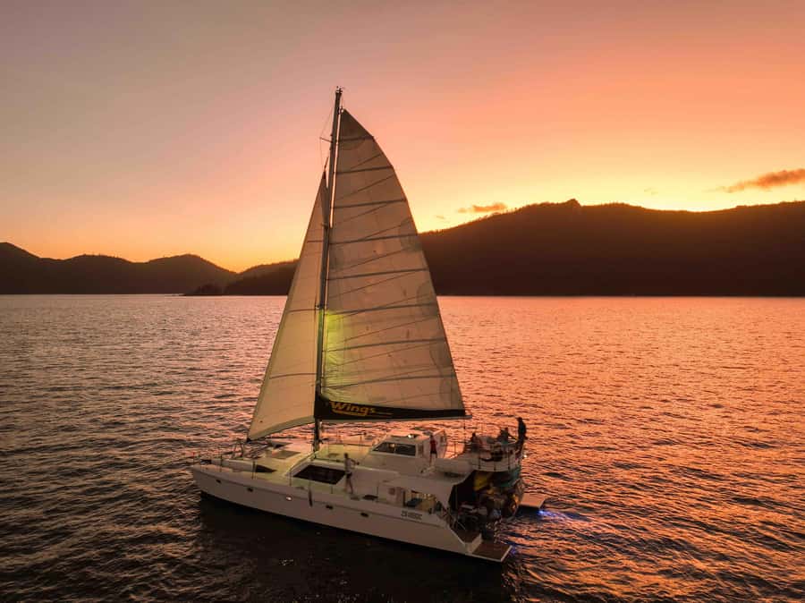 Airlie Beach: BYOB Sunset Sail in Style Catamaran Cruise - Welcome drink and antipasto on the bay