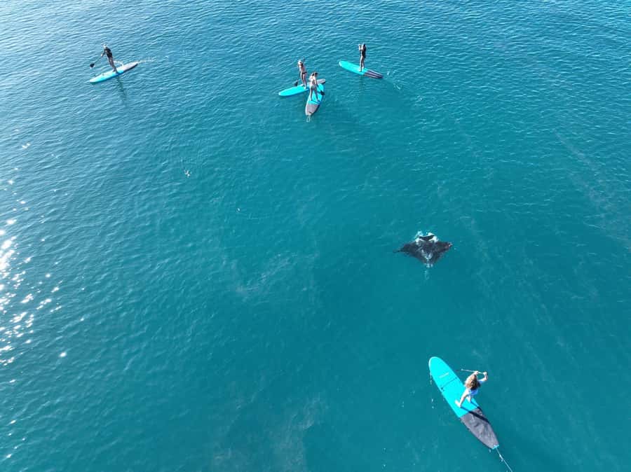 Airlie Beach: Whitsunday Islands Sailing, SUP & Snorkel Tour - Lunch on a 60-foot catamaran