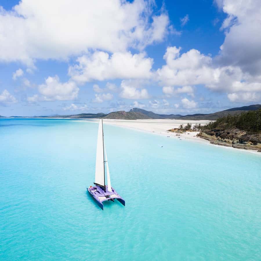 Airlie Beach: Whitsundays Full-Day Camira Sailing Adventure - Should you book the Camira?