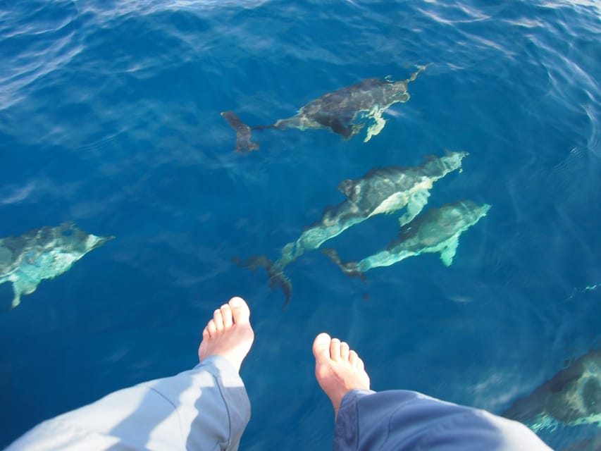 Always private 4 hour - Sail- dolphin Yacht Charter-paddle - A private charter for couples and groups