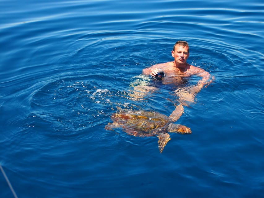 Always private 4 hour - Sail- dolphin Yacht Charter-paddle - Timing, duration, and what to confirm
