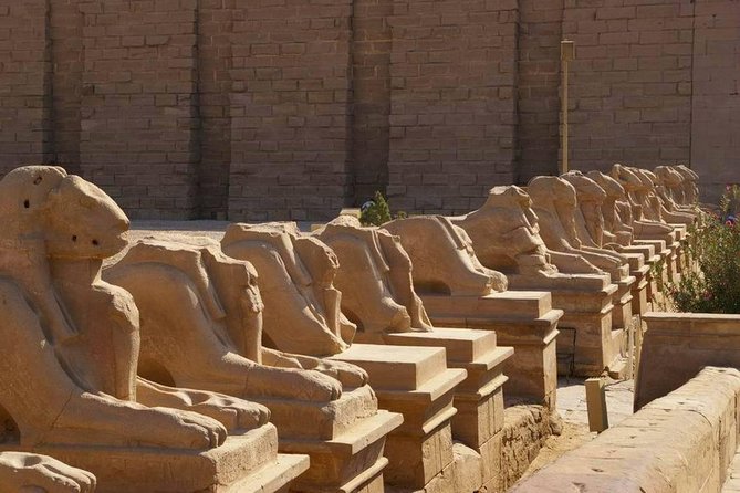 Amazing Day Tour To Luxor from Cairo by Plane,tours,sailing felucca&camel ride. - Why flying makes Luxor possible in one day