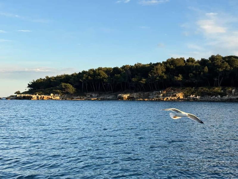 Antibes : Discover the Art of Sailing on a Scenic Cruise - FAQ