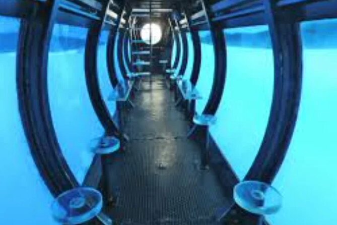 Aquaspace Morning Sail and Snorkel Tour on Bonaire with Lunch - Lunch, drinks, and the value of the $130 price
