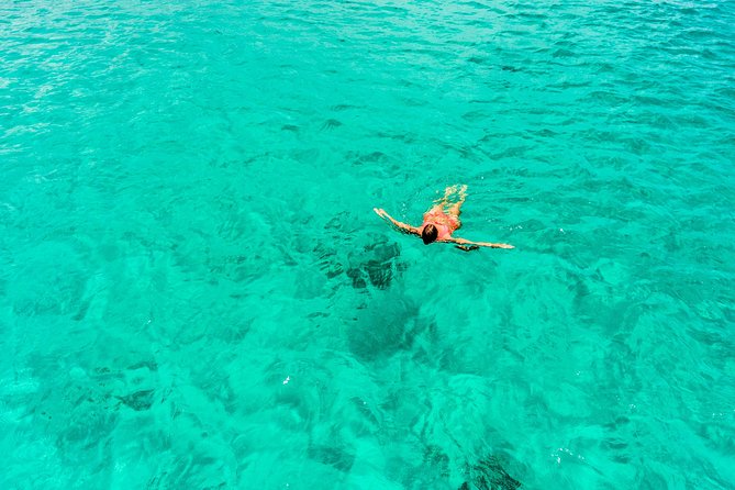 Aruba Afternoon Snorkel Sail aboard Palm Pleasure Catamaran - Who gets the best value from $85