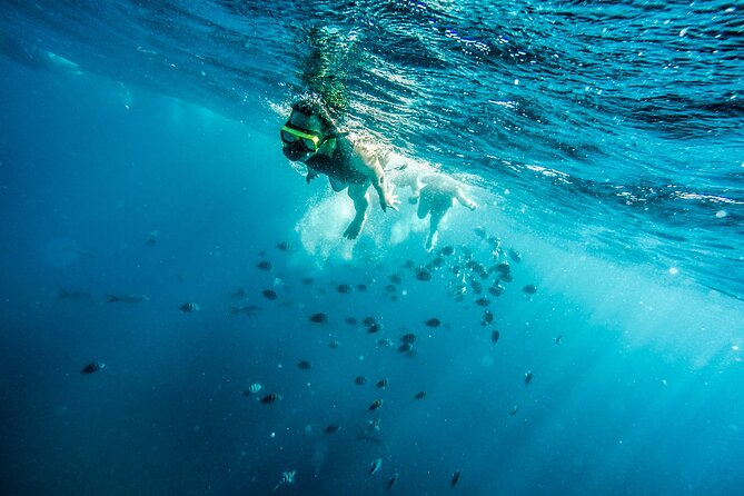 Aruba Afternoon Snorkel Sail aboard Palm Pleasure Catamaran - The SS Antilla, Aruba’s famous underwater wreck