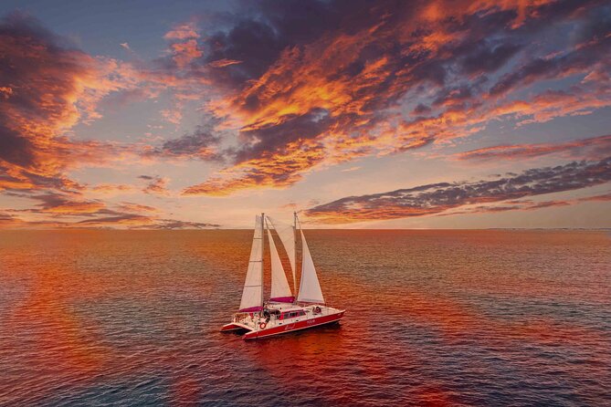 Aruba Morning Snorkeling or Sunset Sail to Boca Catalina With BBQ - Why the Antilla wreck makes this sail different