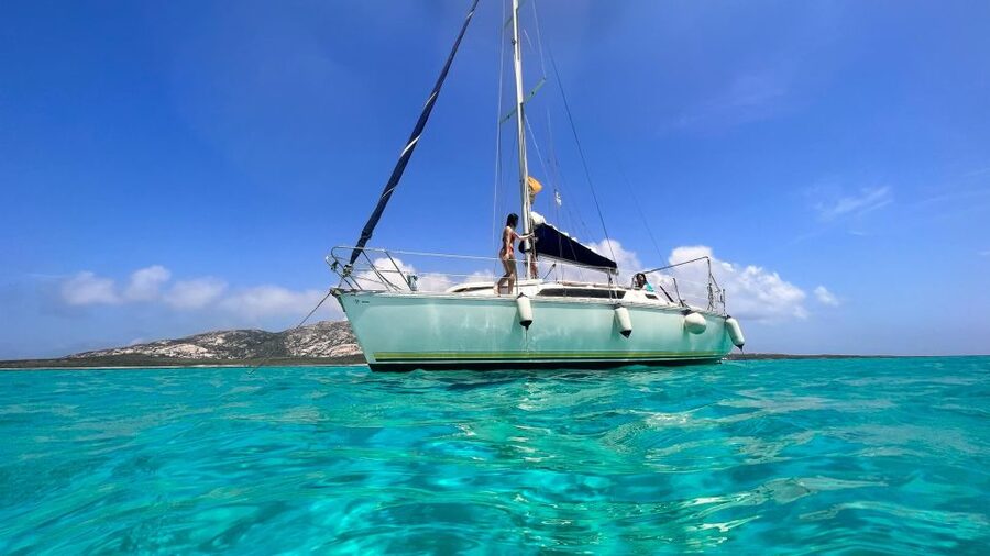 Asinara: Full Day Sailboat Excursion from Stintino - Key points to know before booking