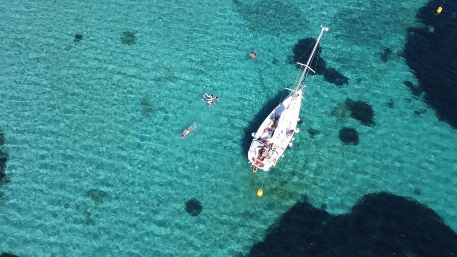 Asinara: Full Day Sailboat Excursion from Stintino - The skipper makes the difference