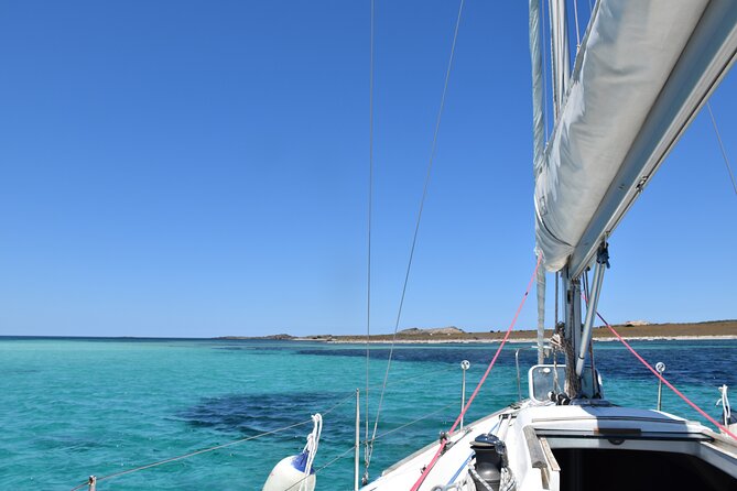 Asinara: sailing experience among the coves of the island - Key details before you book