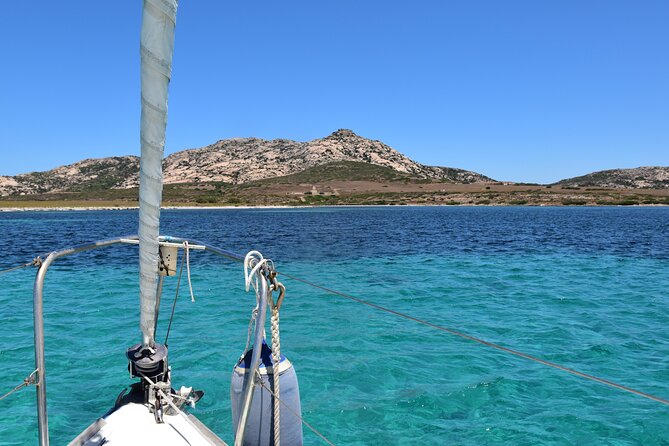 Asinara: sailing experience among the coves of the island - Should you book Soliana?