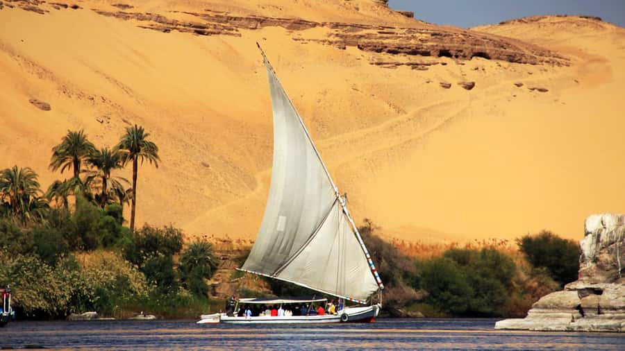Aswan Private Felucca Ride: Sail Around Elephantine Island. - Kitchener’s Island and its Botanical Gardens