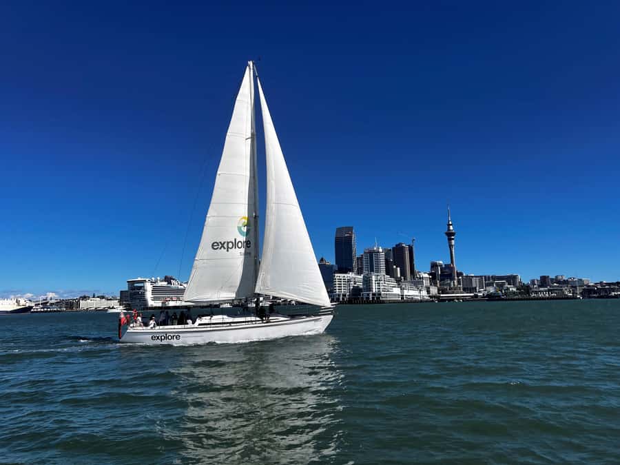Auckland Harbour 1.5-Hour Sailing Cruise - Why this Auckland sailing feels different