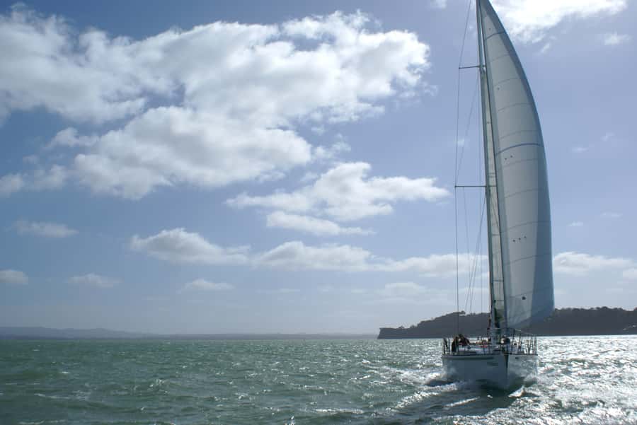 Auckland Harbour 1.5-Hour Sailing Cruise - Westhaven Marina, Devonport, and the city skyline