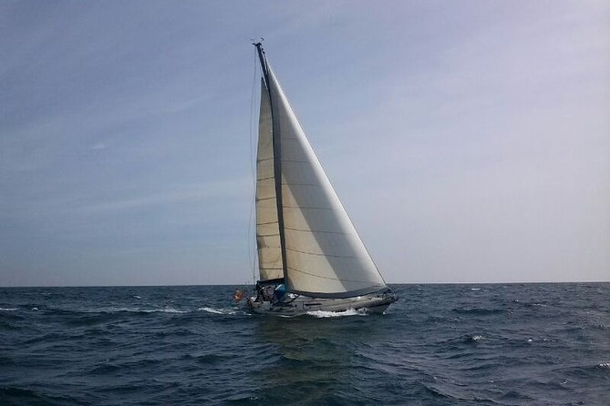 Authentic Barcelona Sailing Tour with Swim & Drinks - The swim and snorkeling stop