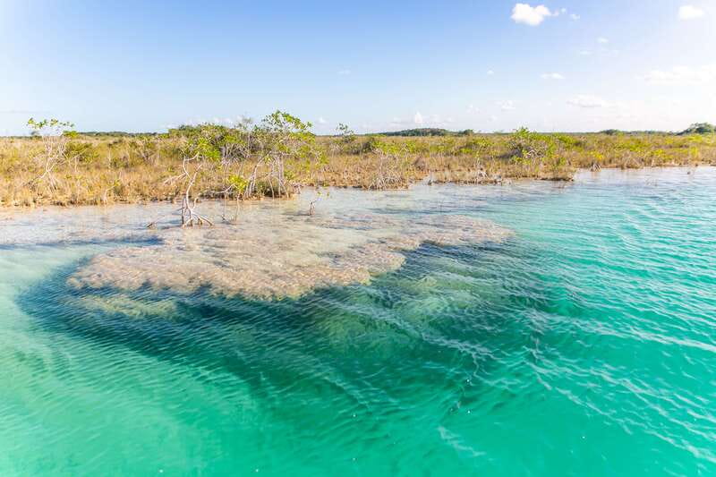 Bacalar: Private Sailboat Tour with Lagoon Swimming - Learning to sail instead of only riding