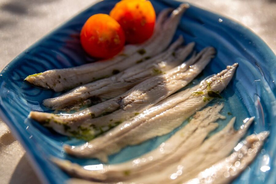 Barcelona: Local Tapas and Drinks Sailing Adventure Tour - Is $105 a fair price?