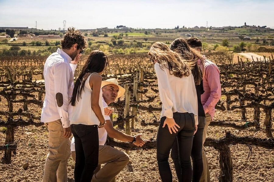 Barcelona: Sailing and Alella Winery Tour with Wine Tasting - Key points at a glance