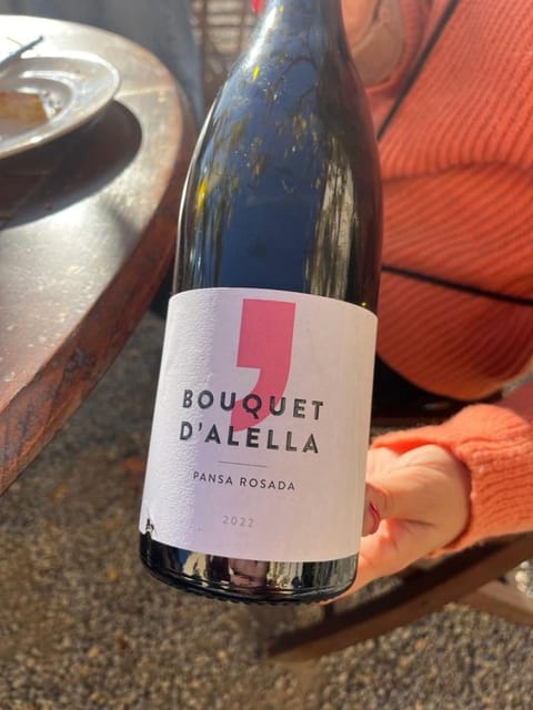 Barcelona: Sailing and Alella Winery Tour with Wine Tasting - Sailing out of Barcelona from Moll de Mestral
