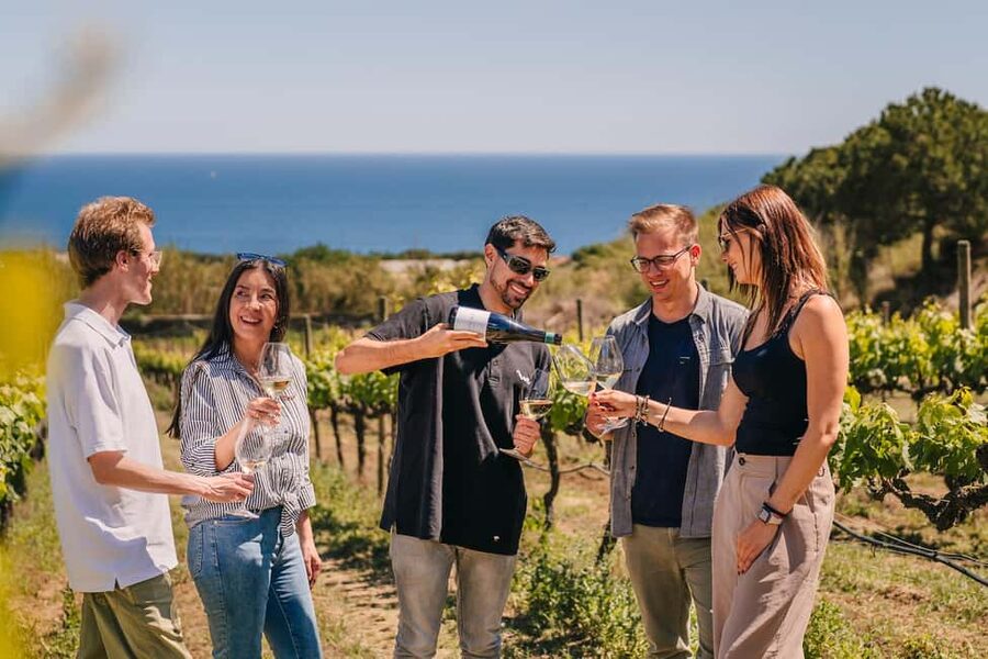 Barcelona: Sailing Cruise & Vineyard Tour with Wine Tasting - Sailing past Barcelona’s coast