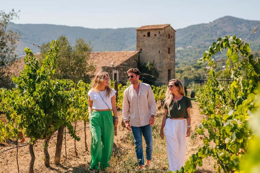 Barcelona: Sailing Cruise & Vineyard Tour with Wine Tasting - What the small group changes