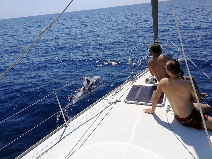 Barcelona: Sailing Trip with Drinks and Snacks - Key points to know before you book