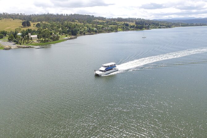 Batman Bridge 4 Hour Luncheon Cruise including sailing into the Cataract Gorge - Following the Tamar toward Batman Bridge