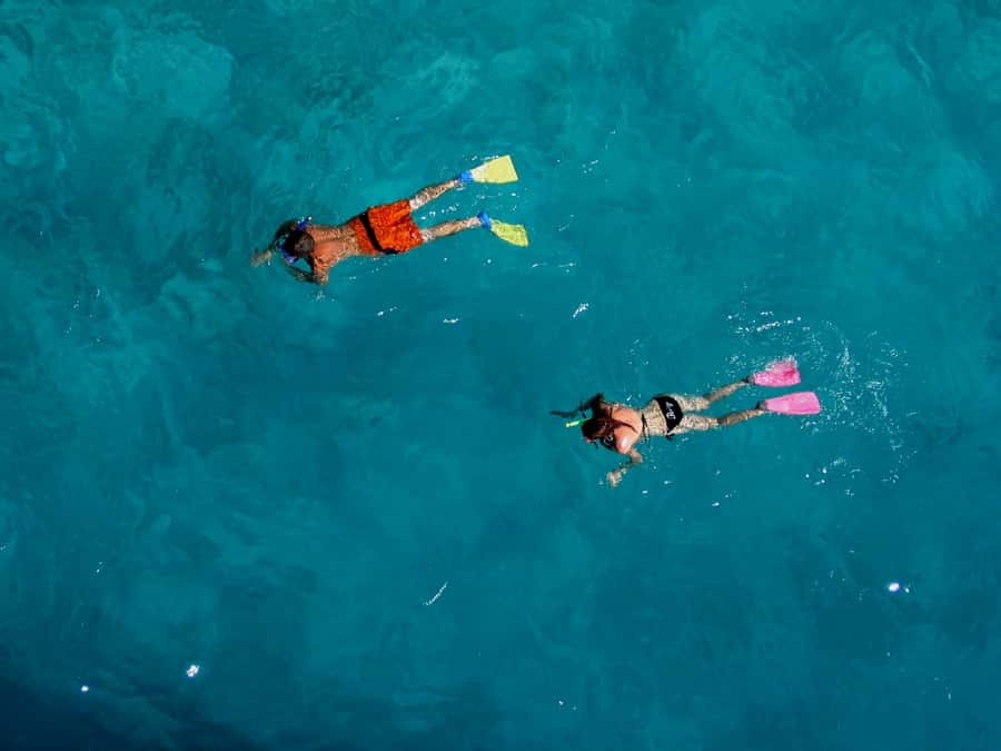 Bay of Islands: Awesome Day Sailing Tour with Island Stop - How Personal Is the Experience?